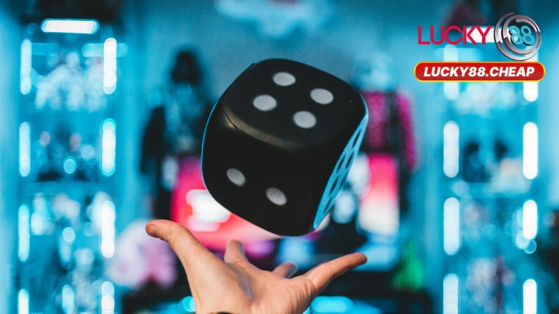 Quyền Và Nghĩa Vụ Của Người Chơi 